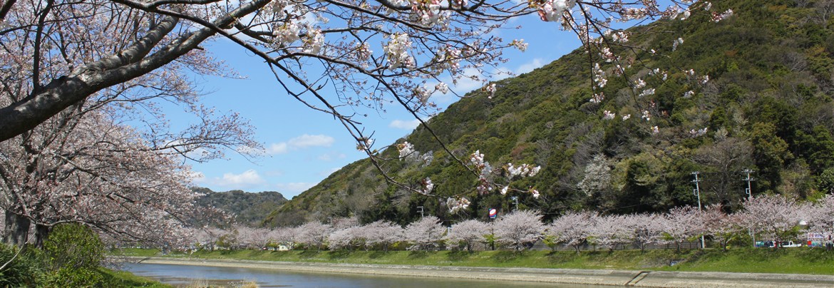 岩殿寺窯 | 南伊豆町観光協会（Minami-izu Tourism Association）